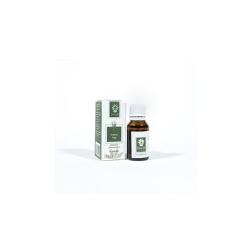 Panlife 15 ml Vetiver Yağı