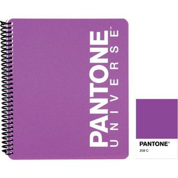 Pantone 93004-6 PP Kapak Large Boy Mor Çizgili Defter