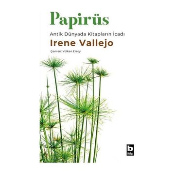 Papirüs Irene Vallejo Bilgi Yayınevi