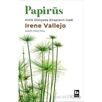 Papirüs Irene Vallejo Bilgi Yayınevi