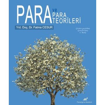 PARA VE PARA TEORILERI - FATMA CESUR