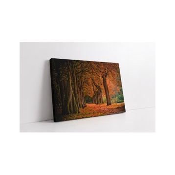 Park - Naim Tirali