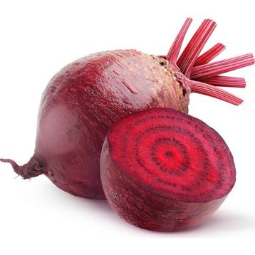 Paşa Tohumculuk 25 gr Yakut Pancar Tohumu