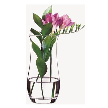 Paşabahçe 43406 Botanica Cam Vazo