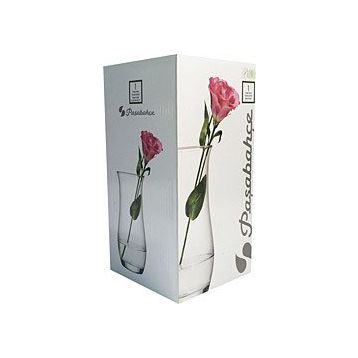 Paşabahçe 43406 Botanica Cam Vazo