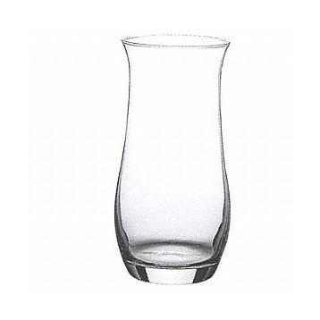 Paşabahçe 43406 Botanica Cam Vazo