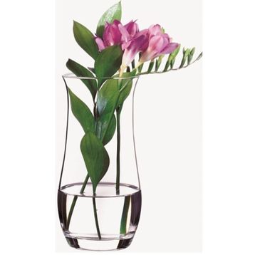 Paşabahçe 43406 Botanica Cam Vazo