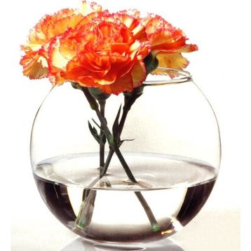Paşabahçe 43417 Botanica 825 ml Vazo