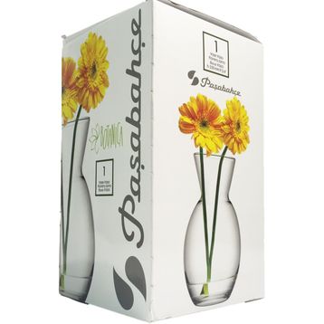 Paşabahçe 43726 Botanica Vazo