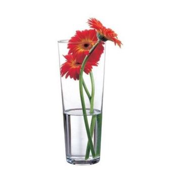 Paşabahçe 43767 Flora Cam Vazo