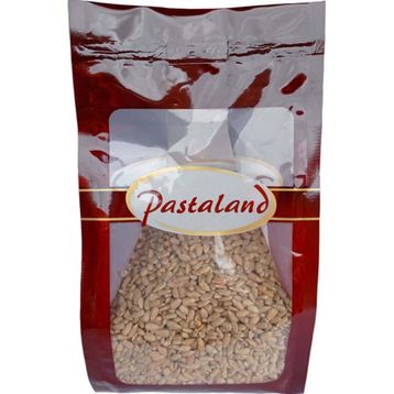 Pastaland 500 gr Ayçekirdeği Içi