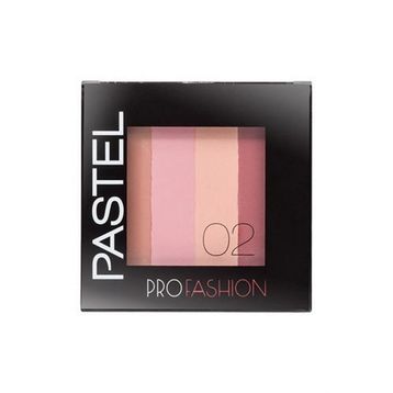 Pastel Profashion Colorist Blush No 2 Allık