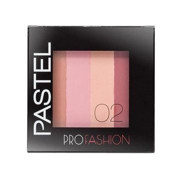 Pastel Profashion Colorist Blush No 2 Allık