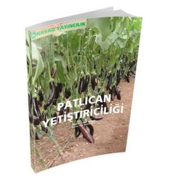 Patlıcan Yetiştiriciliği - Zir. Yük. Müh. Hüsnü Çınar Aybak