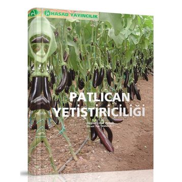 Patlıcan Yetiştiriciliği - Zir. Yük. Müh. Hüsnü Çınar Aybak