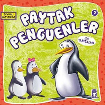 Paytak Penguenler - Genel