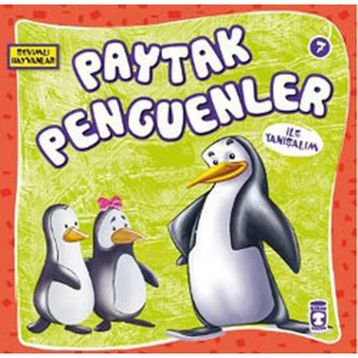 Paytak Penguenler - Genel