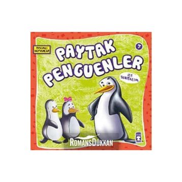Paytak Penguenler - Genel