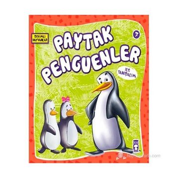 Paytak Penguenler - Genel
