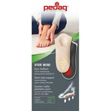Pedag 179-180 Tabanlık
