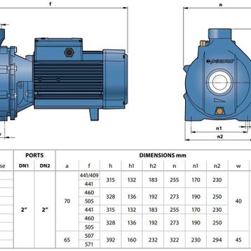 Pedrollo CP 220B TRF Tek Fanlı Santrifüj Pompa