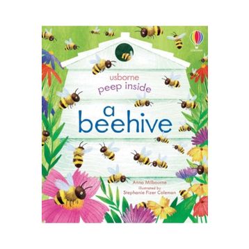 Peep Inside a Beehive