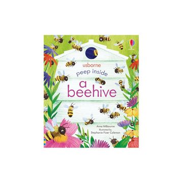 Peep Inside a Beehive