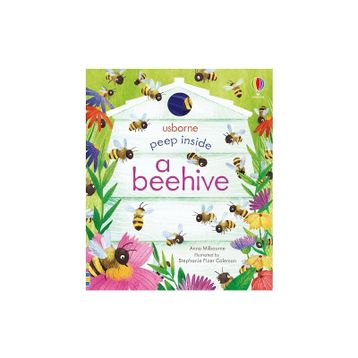 Peep Inside a Beehive