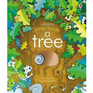 Peep Inside a Tree