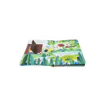 Peep Inside Animal Homes-Usborne Yayıncılık