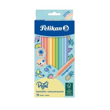 Pelikan P-701143 12 Renkli Kuru Boya Kalemi