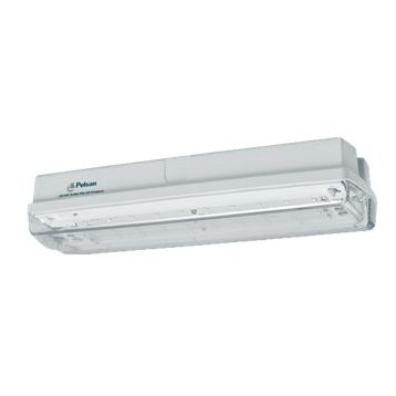 Pelsan IP65 108390 Ausled Sıva Üstü 5W 6500K Acil Aydınlatma ve Yönlendirme Armatürü