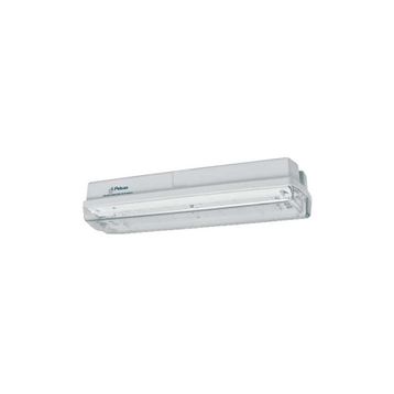 Pelsan IP65 110667 Ausled 10W 6500K Acil Aydınlatma ve Yönlendirme Armatürü