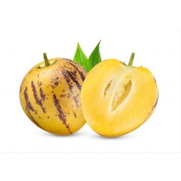 Pepino Adet