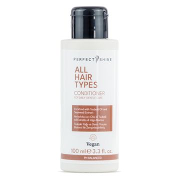 Perfect Shine Tüm Saç Tipleri İçin 100 ml Saç Kremi