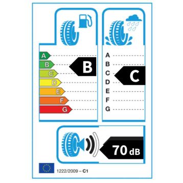 Petlas Snow Master W651 215/60R16 95H Kış Lastiği