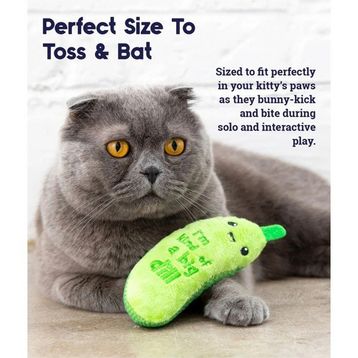 Petstages Crunch Pickle Kicker Dental Catnipli Kedi Oyuncağı