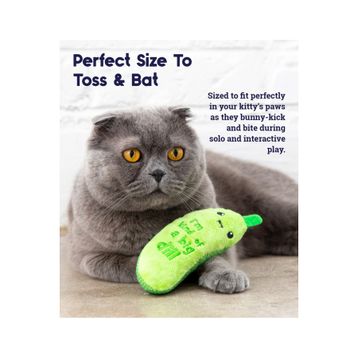 Petstages Crunch Pickle Kicker Dental Catnipli Kedi Oyuncağı