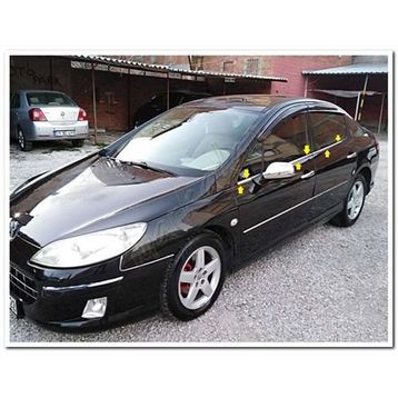 Peugeot 407 2004 2010 Cam Çıtası