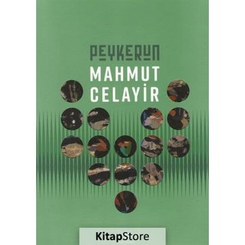 Peykerun - Retrospektif - Mahmut Celayir