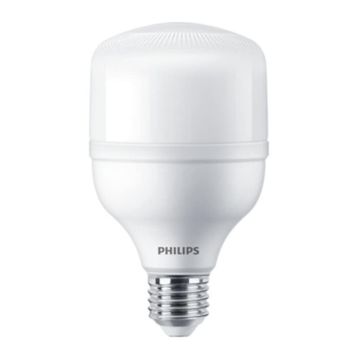 Philips 24 W E27 6500K Trueforce Core Led Ampul