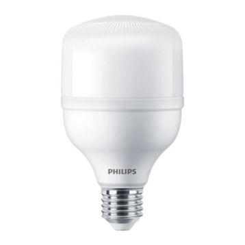 Philips 24 W E27 6500K Trueforce Core Led Ampul