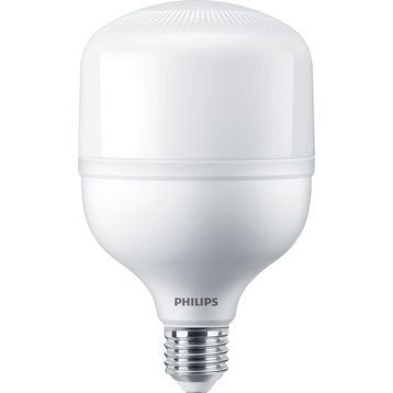 Philips 24 W E27 6500K Trueforce Core Led Ampul