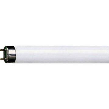 Philips 36W 25 Adet Floresan Ampul