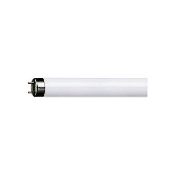 Philips 36W Günışığı Floresan Ampul
