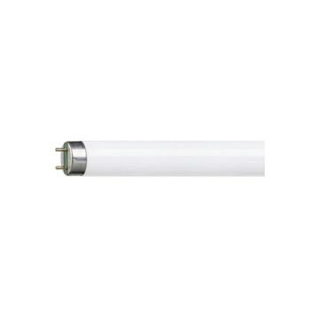 Philips 36W Günışığı Floresan Ampul