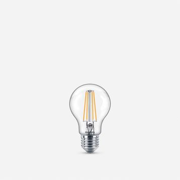 Philips Classic 60W G93 E27 Beyaz Işık Led Ampul
