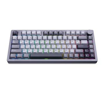 Philips Evnia SPK8618 Mekanik RGB Kablosuz Gri Gaming Klavye