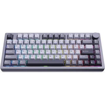 Philips Evnia SPK8618 Mekanik RGB Kablosuz Gri Gaming Klavye