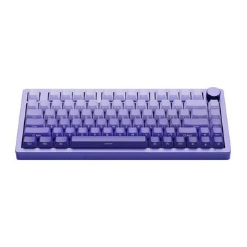 Philips Evnia SPK8618 Mekanik RGB Kablosuz Mor Gaming Klavye